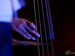 IMG_7971_DxO