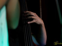 IMG_7986_DxO