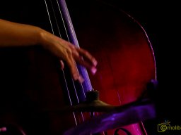 IMG_8064_DxO