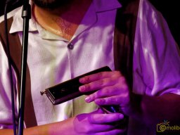 IMG_8165_DxO