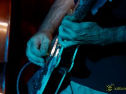 IMG_8265_DxO