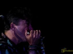 IMG_8395_DxO